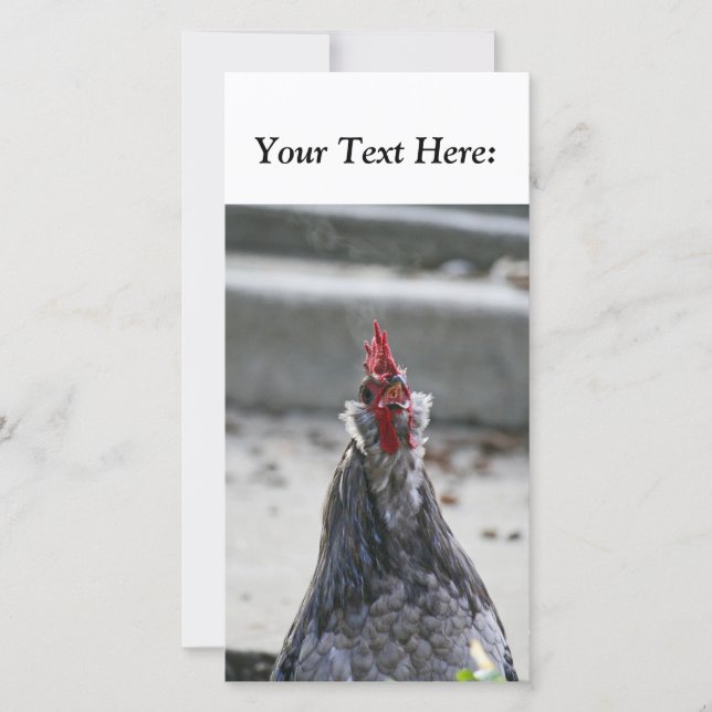 Tarjeta fotográfica en blanco, gallo (Anverso)