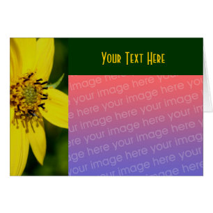 Tarjeta fotográfica floral amarillo girasol