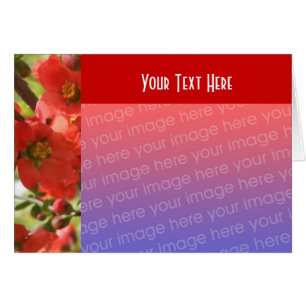 Tarjeta fotográfica floral de primavera roja flore