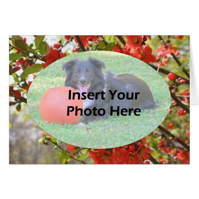 Tarjeta fotográfica floral de primavera roja flore (Anverso (Horizontal))