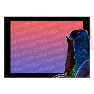 Tarjeta fotográfica floral Eléctrica de Rosebud
