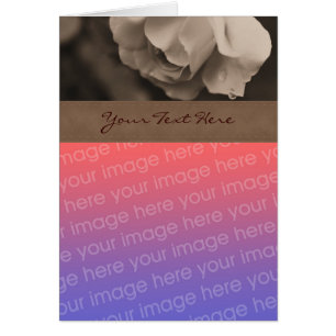 Tarjeta fotográfica floral Sepia Rosa