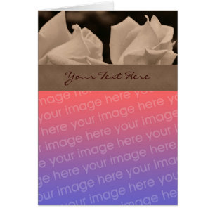 Tarjeta fotográfica floral Sepia Rosebuds