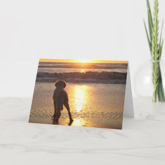 Tarjeta fotográfica Golden Retriever Blank