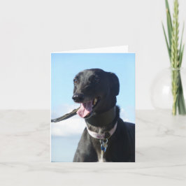 Tarjeta fotográfica Greyhound (p11)