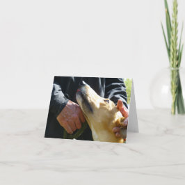 Tarjeta fotográfica Greyhound (p284)