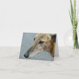 Tarjeta fotográfica Greyhound (p291)