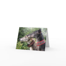 Tarjeta fotográfica Greyhound (p343)