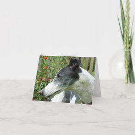 Tarjeta fotográfica Greyhound (p5)