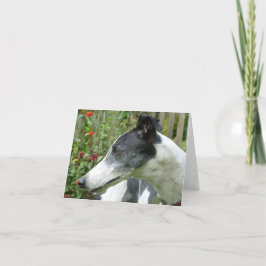 Tarjeta fotográfica Greyhound (p5)