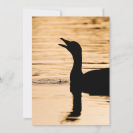 Tarjeta fotográfica Greylag Goose Nature