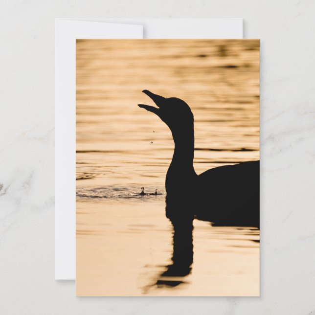 Tarjeta fotográfica Greylag Goose Nature (Anverso)