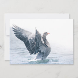 Tarjeta fotográfica Greylag Goose Nature