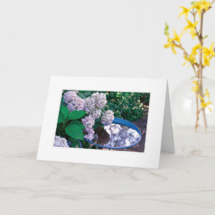 Tarjeta fotográfica Hydrangea