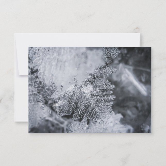 Tarjeta fotográfica Ice Crystal Nature (Anverso)
