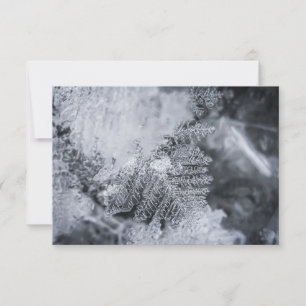 Tarjeta fotográfica Ice Crystal Nature