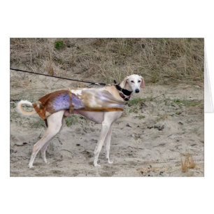 Tarjeta fotográfica Lurcher