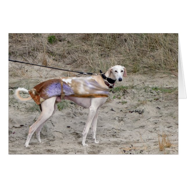 Tarjeta fotográfica Lurcher (Anverso (Horizontal))
