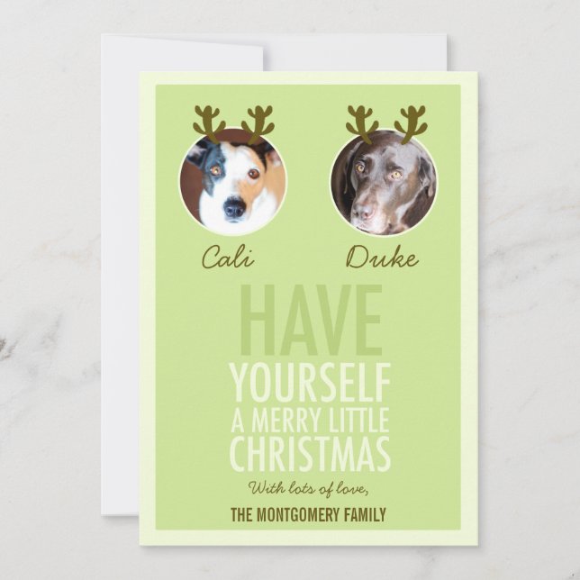Tarjeta fotográfica Moss Green Mascota Antler Holi (Anverso)