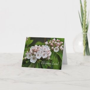 Tarjeta fotográfica Mountain Laurel