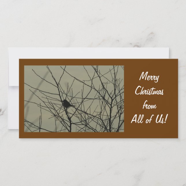 Tarjeta fotográfica navideña: Pequeño pájaro (Anverso)