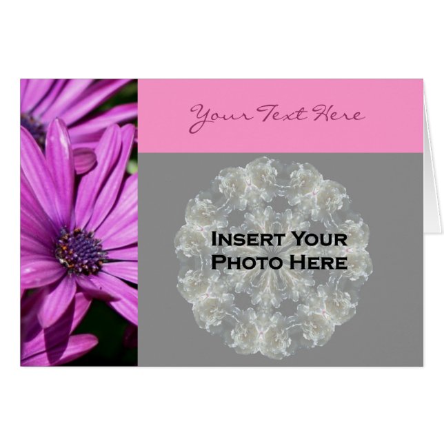 Tarjeta fotográfica Purple African Daisies (Anverso (Horizontal))