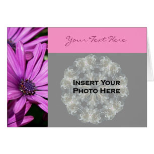 Tarjeta fotográfica Purple African Daisies Floral