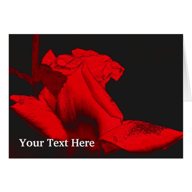 Tarjeta fotográfica Red Hot Rosebud Floral Art (Anverso (Horizontal))