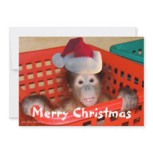 Tarjeta fotográfica Santa Navidades Cute