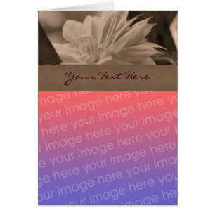 Tarjeta fotográfica Sepia Clematis Flower