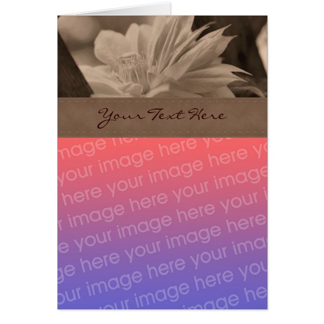 Tarjeta fotográfica Sepia Clematis Flower (Frente)