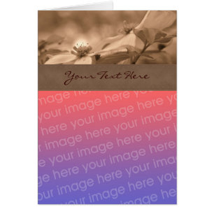 Tarjeta fotográfica Sepia Dogwood Flower