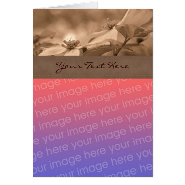 Tarjeta fotográfica Sepia Dogwood Flower (Frente)