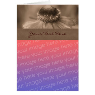 Tarjeta fotográfica Sepia Zinnia