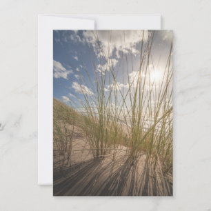 Tarjeta fotográfica sobre la naturaleza de la play