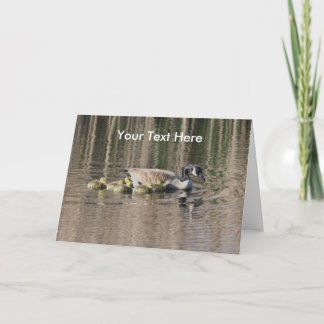 Tarjeta fotográfica sobre la naturaleza de los gat