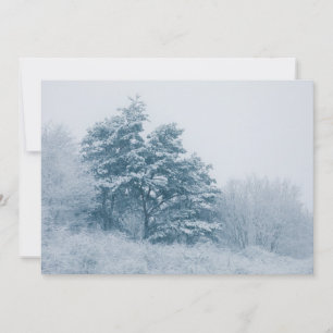 Tarjeta fotográfica sobre la naturaleza del invier