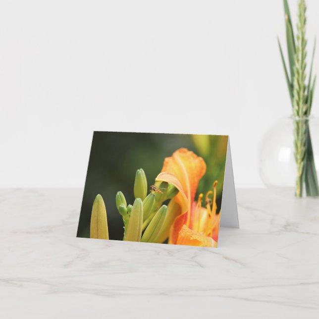 Tarjeta fotográfica sobre lirio naranja (Anverso)