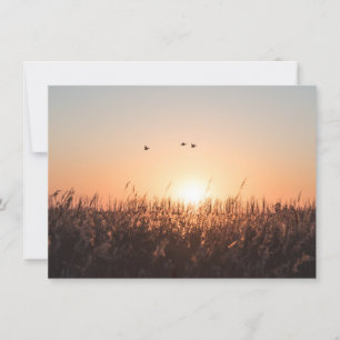 Tarjeta fotográfica Sunrise Reed Nature