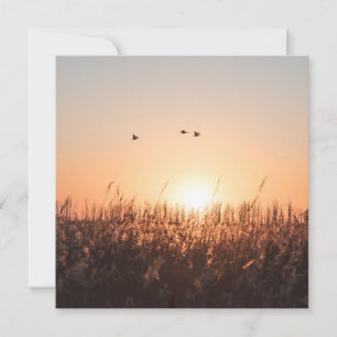 Tarjeta fotográfica Sunrise Reed Nature