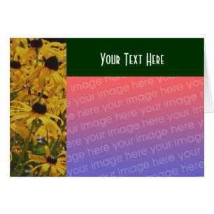 Tarjeta fotográfica Susan Flowers Black Eyed