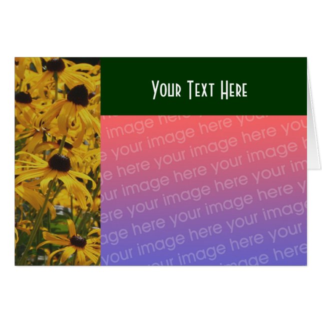 Tarjeta fotográfica Susan Flowers Black Eyed (Anverso (Horizontal))