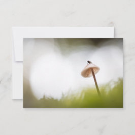Tarjeta fotográfica Tiny Mushroom Nature