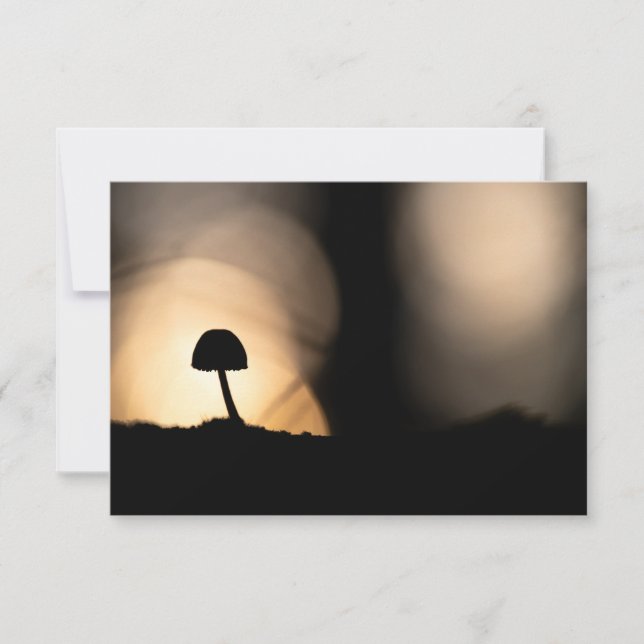 Tarjeta fotográfica Tiny Mushroom Nature (Anverso)