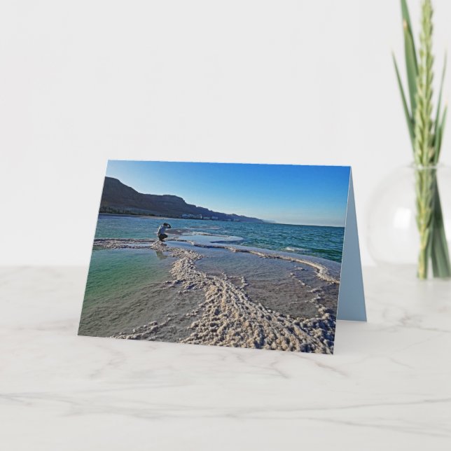 Tarjeta Fotógrafo en el Mar Muerto, todas las ocasiones sa (Anverso)