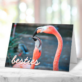 Tarjeta Fotomodelo de flamencos rosados guion Amigas con e