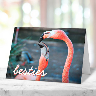 Tarjeta Fotomodelo de flamencos rosados guion Amigas con e