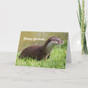 Tarjeta Fotomontaje de vida silvestre cumpleaños
