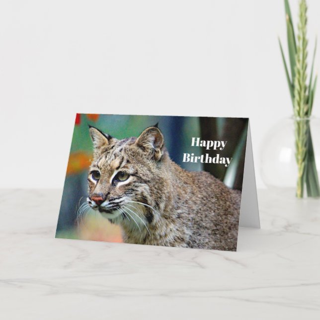Tarjeta Fotos de Bobcat de vida silvestre Cumpleaños (Anverso)