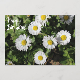 Tarjeta Fotos de feliz cumpleaños de Daisies